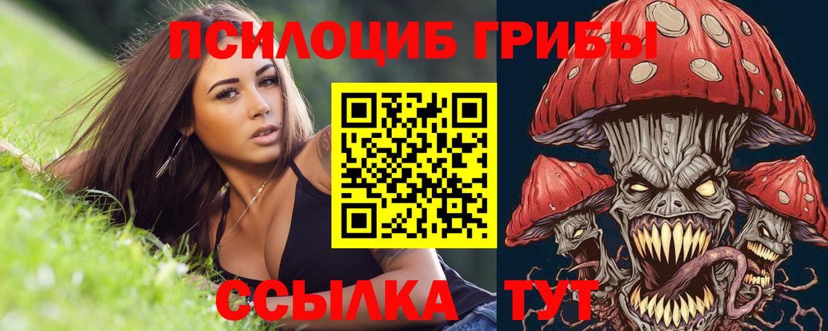 Псилоцибиновые грибы прущие грибы Алушта